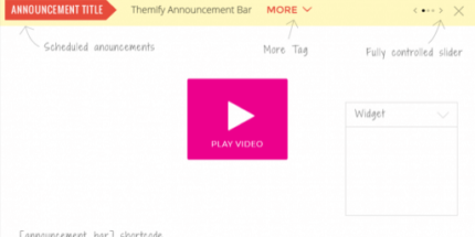 Themify: Announcement Bar