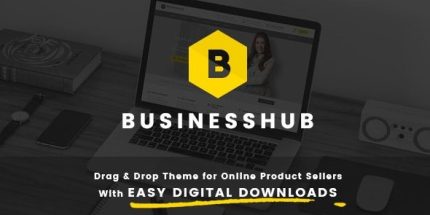 Business Hub - Responsive WordPress Theme For Online Business