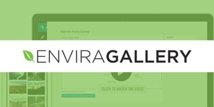 Envira Gallery Downloads Addon
