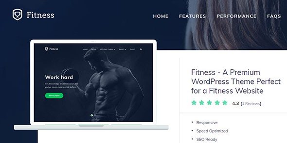 MTS: Fitness 1.0.11 – A Premium WordPress Theme Perfect for a Fitness Website