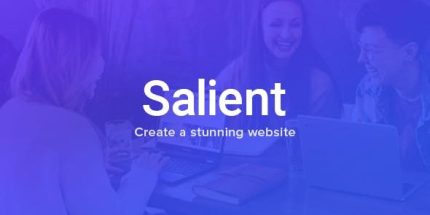 Salient - Responsive Multi-Purpose Theme