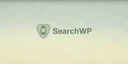 SearchWP: Term Archive Priority