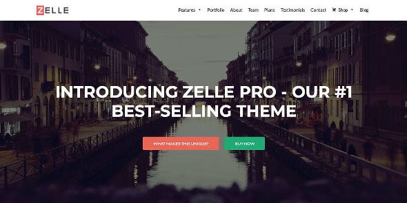Zelle Pro Zerif Pro 2.1.6
