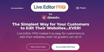 Live Editor PRO for Elementor