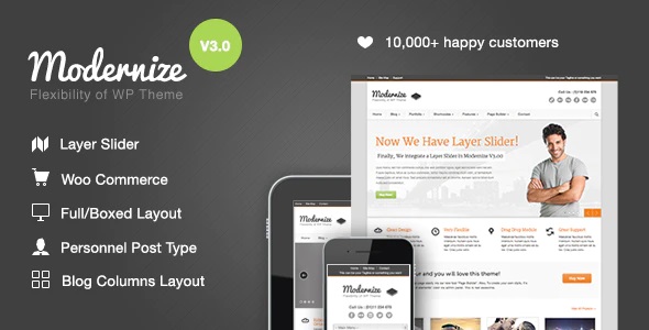 Modernize 3.4.5 – Flexibility of WordPress