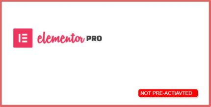 Elementor Pro 3.0.8
