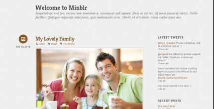 Minblr - Themify WordPress Theme