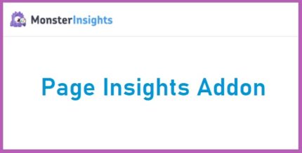 MonsterInsights Page Insights Addon