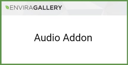 Envira Gallery Audio Addon