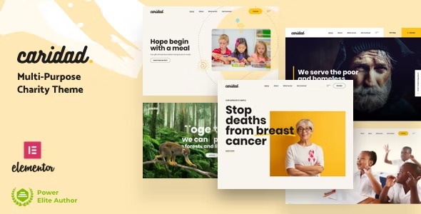 Caridad 43 – Charity WordPress