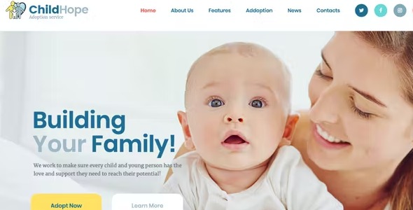 ChildHope 1.1.9 – Child Adoption Service & Charity WP