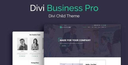 Divi Business Pro - Divi Child Theme