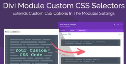 Divi Module Custom CSS Selectors