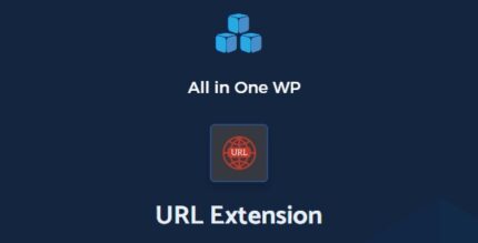 All in One WP Migration URL Extension