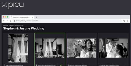 picu Pro - Online Photo Proofing with WordPress