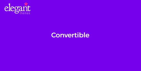 Elegant Themes Convertible 3.0.13