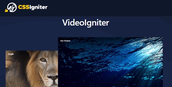 VideoIgniter Pro 1.1.0 – CSSIgniter
