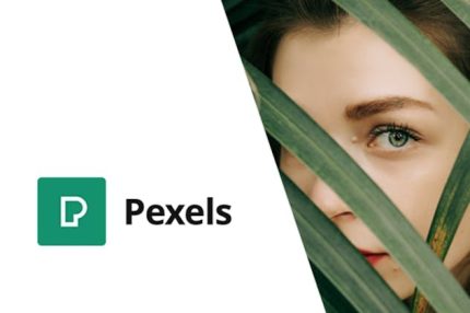Pexels - Import Free Stock Images into WordPress