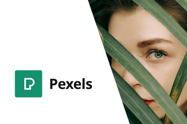 Pexels 1.0.0 – Import Free Stock Images into WordPress