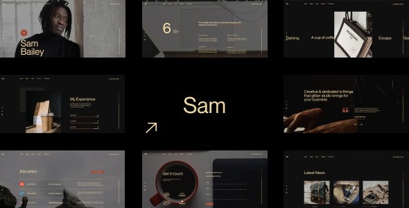 Sam Bailey 1.1 – Personal CV/Resume WordPress Theme