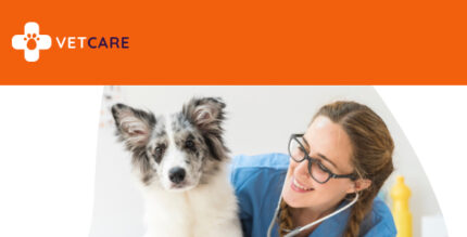 Elementorism Vetcare - Pet & Animal Clinics