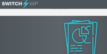 WP Client Reports Pro