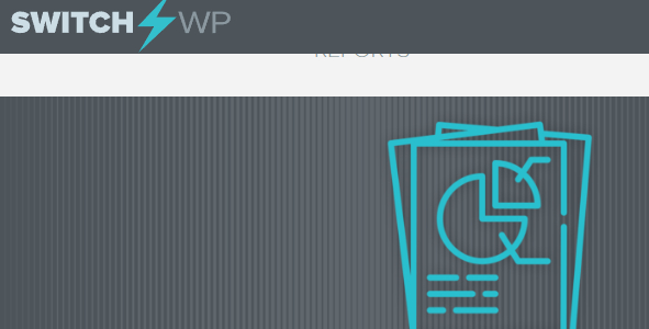 WP Client Reports Pro 1.0.19