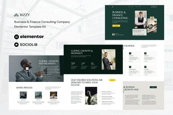 Bizzy 1.0 – Business & Finance Consulting Company Elementor Template Kit