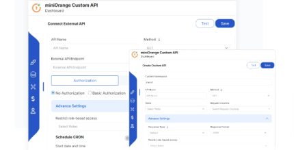 MiniOrange Create and Connect APIs to WordPress