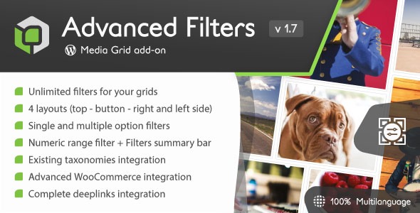 Media Grid Advanced Filters add-on 2.1.0
