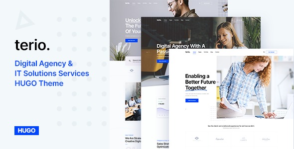 Terio 1.0 – Digital Agency & IT Services Hugo Theme