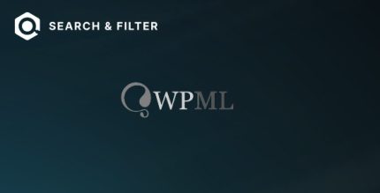 Search & Filter WPML