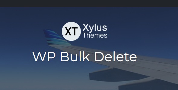 WP Bulk Delete Pro 1.4.2