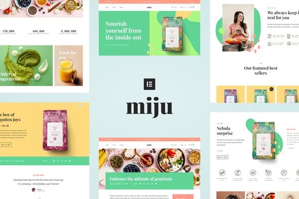 Miju  – Conscious Product Elementor Template Kit