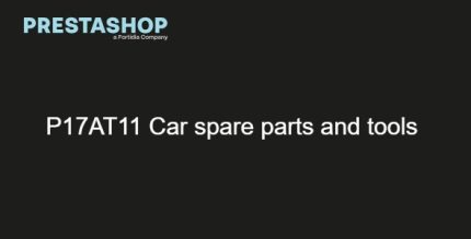 P17AT11 Car spare parts and tools