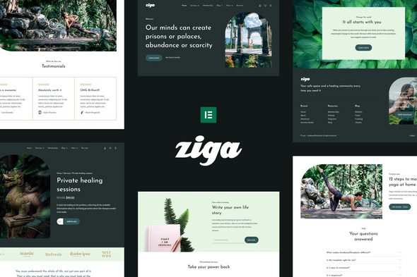 Ziga  – Healer & Life Coach Elementor Template Kit