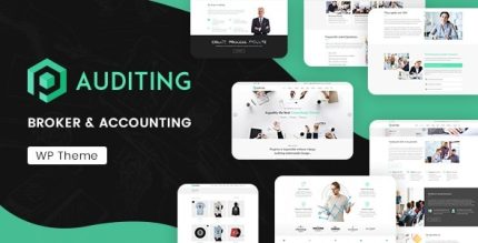 Auditing - Accounting Consultant