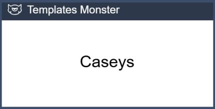Caseys - Trendy Fashion Shopify Theme | O.S