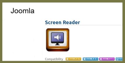 Screen Reader - plugin for screen reader Joomla