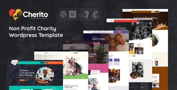 Cherito 1.0.0 – Non Profit Charity WordPress Theme
