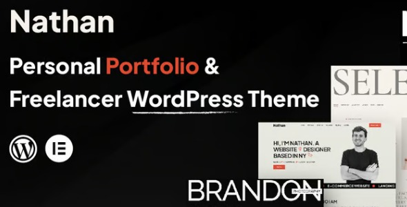 Nathan 1.0.3 – Personal Portfolio WordPress Theme