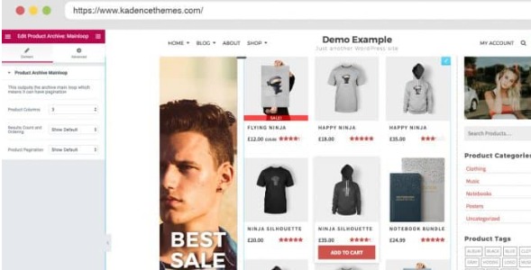 Kadence for WooCommerce and Elementor Pro 1.1.11
