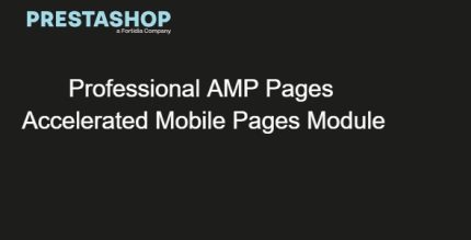 Professional AMP Pages - Accelerated Mobile Pages Module