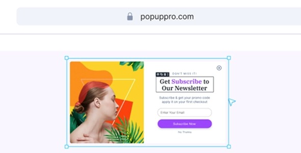 Popup Pro 3.1
