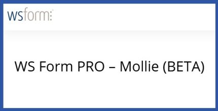 WS Form PRO Mollie (BETA)