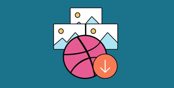 Envira Gallery Dribbble Addon 1.0.0