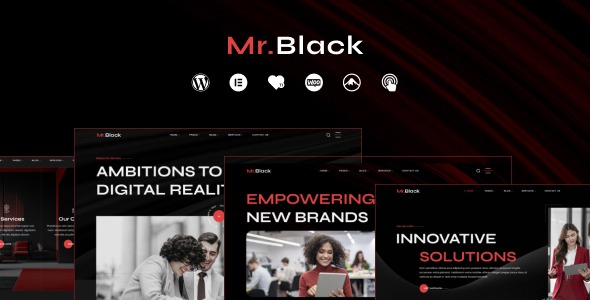 Mr.Black 1.0.4 – Business Agency WordPress Theme