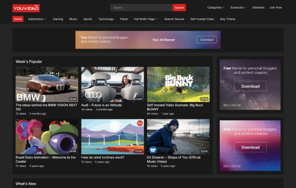 YouVideo Pro 1.0.1