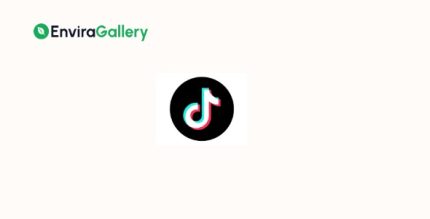 Envira Gallery TikTok Addon