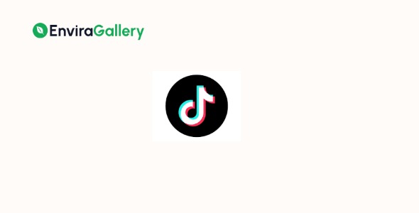 Envira Gallery TikTok Addon 1.0.1